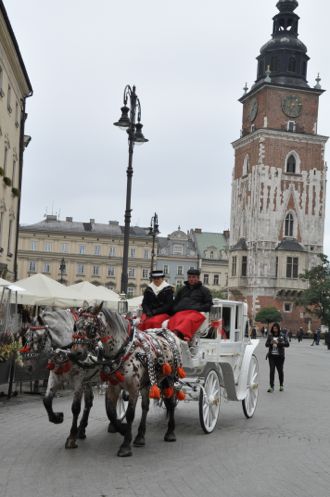polen33